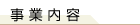 ���Ɠ��e